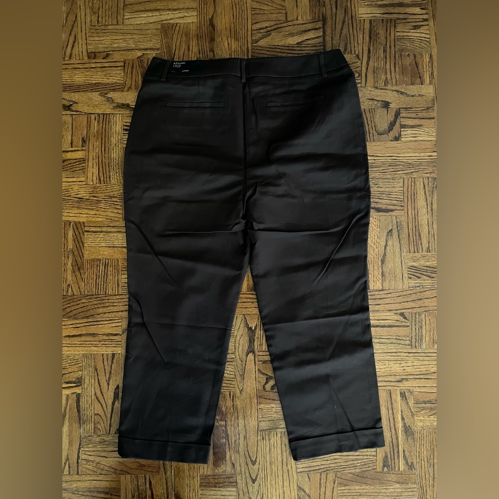Chico’s So Slimming Brown Crop Pants 2.5 14 NWT - Picture 2 of 4